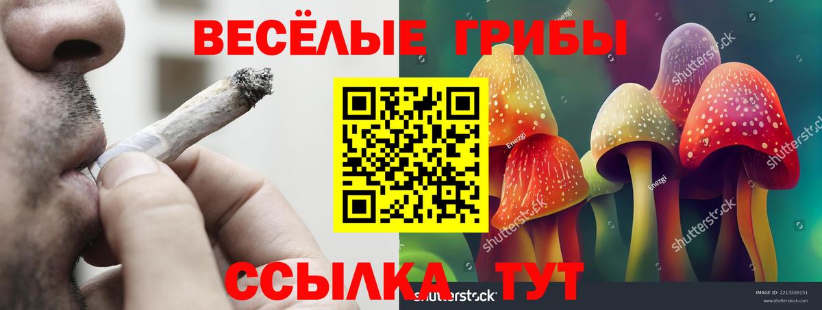 Радужный  Галлюциногенные грибы мицелий  Галлюциногенные грибы MAGIC MUSHROOMS  Вход с VPN 